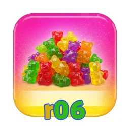 r06