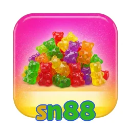 sn88
